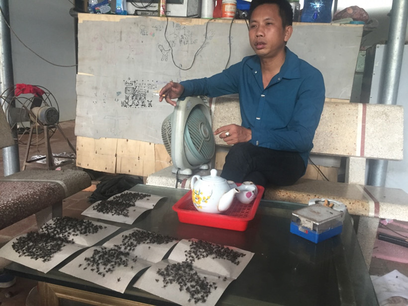 [-]Kinh[-]ho&agrave;ng[-]ruồi[-]từ[-]b&atilde;i[-]r&aacute;c[-]Nam[-]Sơn[-]"tấn[-]c&ocirc;ng"[-]nh&agrave;[-]d&acirc;n